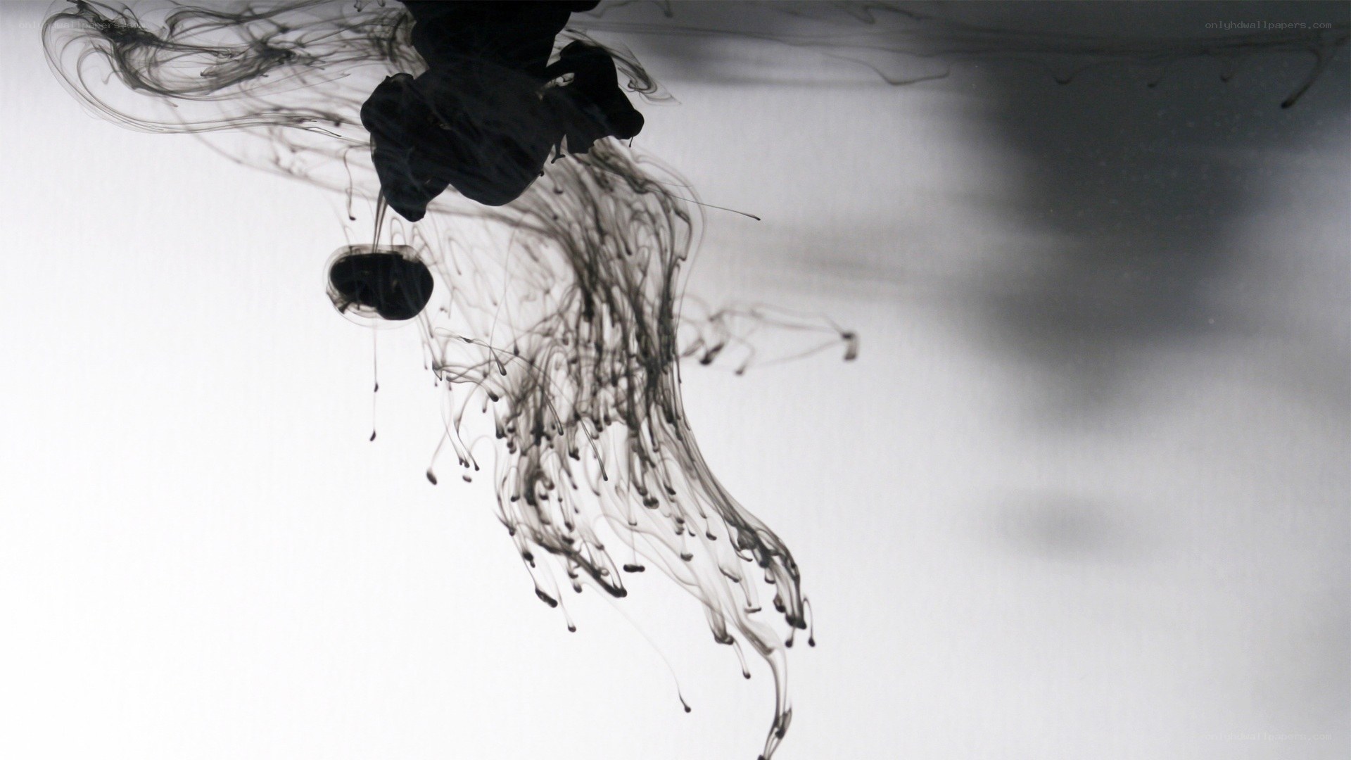 ink dispersing in water