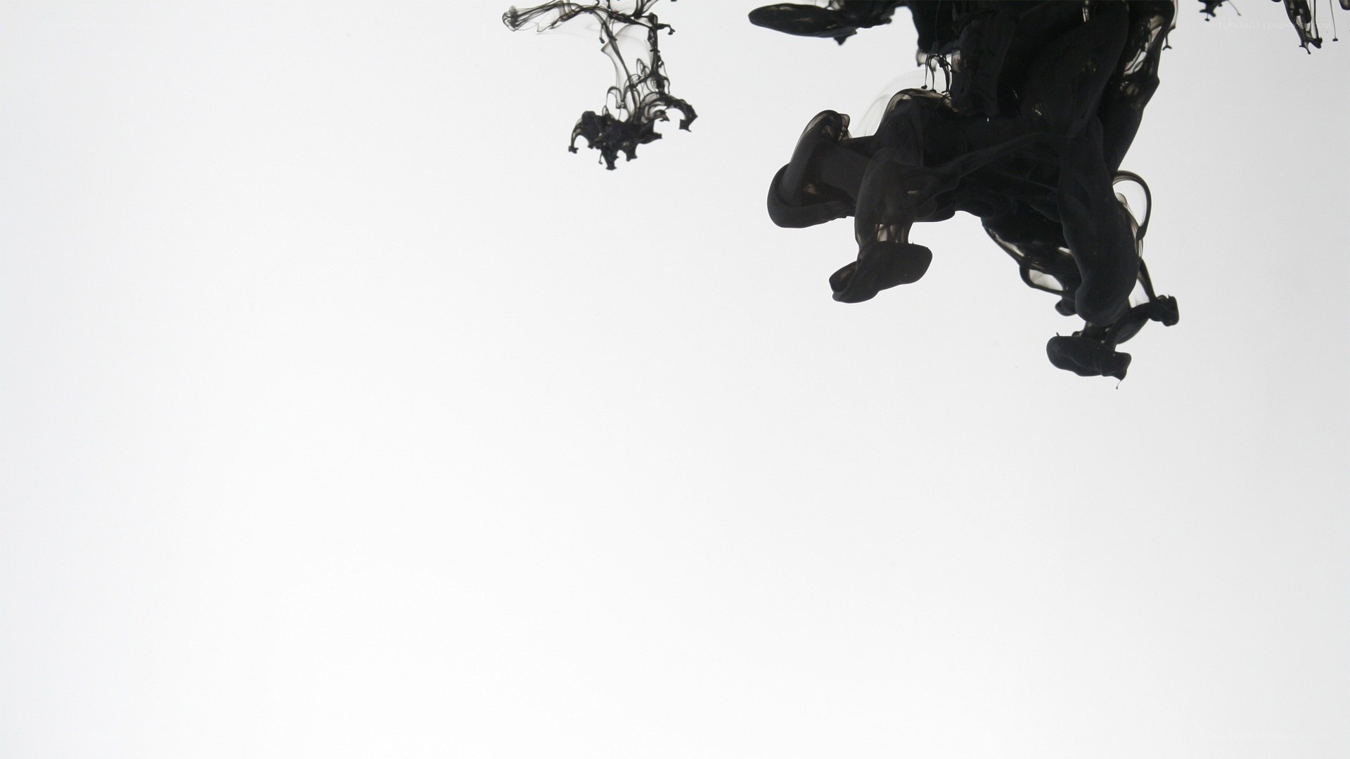 ink dispersing in water