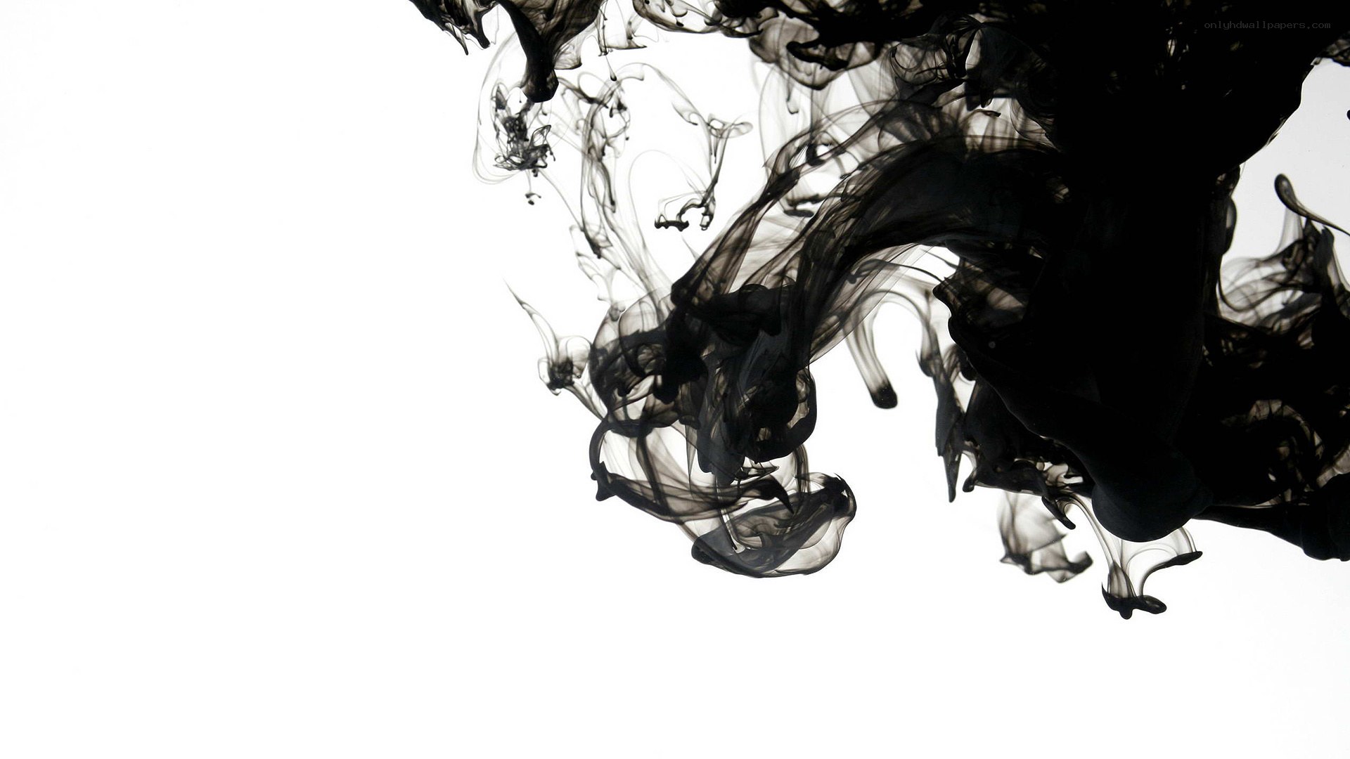 Ink dispersing in water