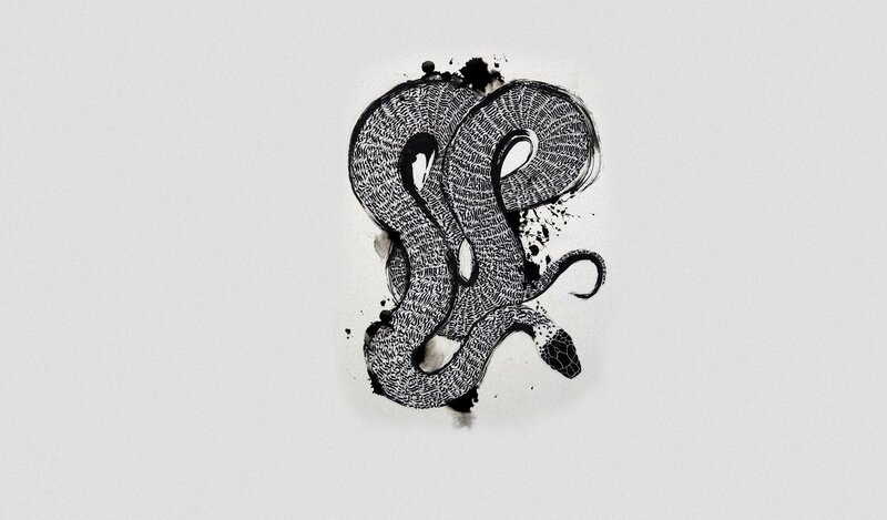ink drawing of a coiled snake