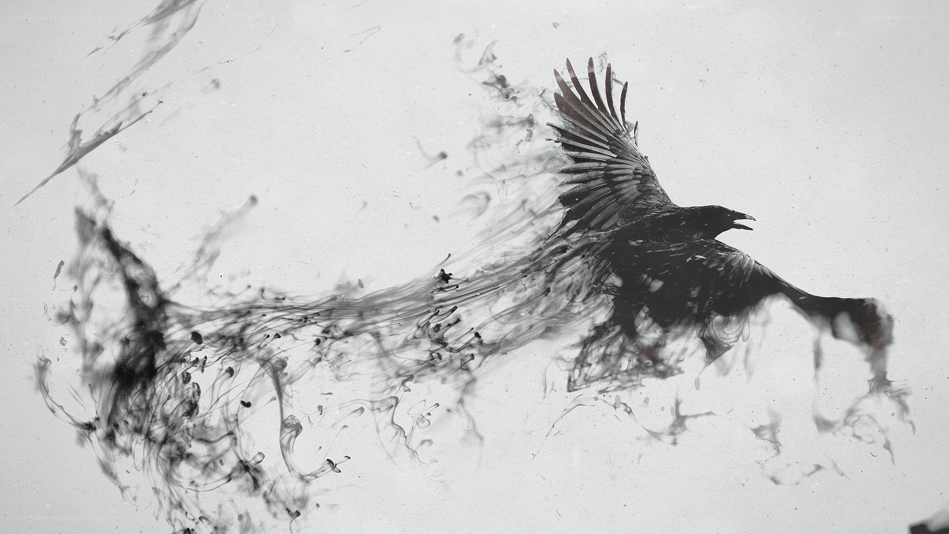 ink splatter bird art