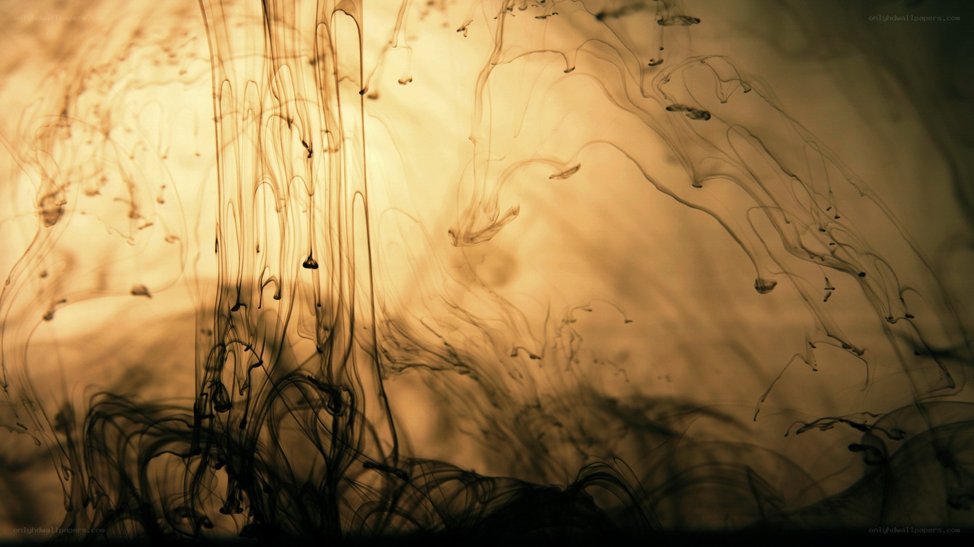 Ink swirling in warm light
