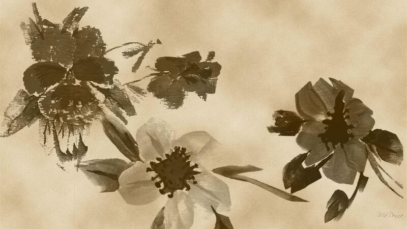 Ink-wash Flowers