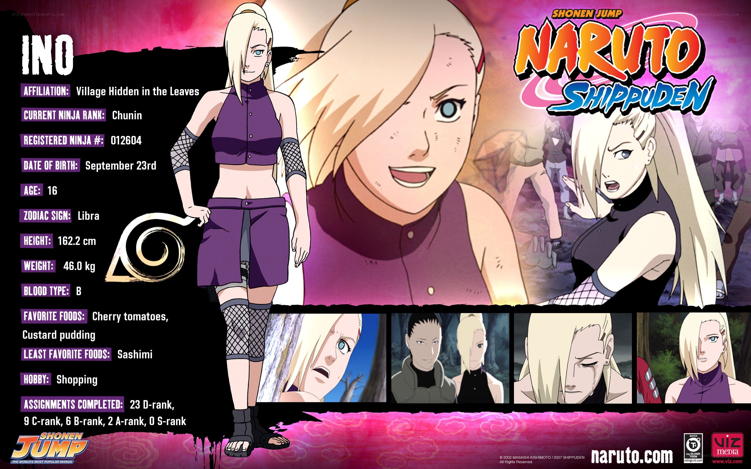 Ino Shika Chō profile