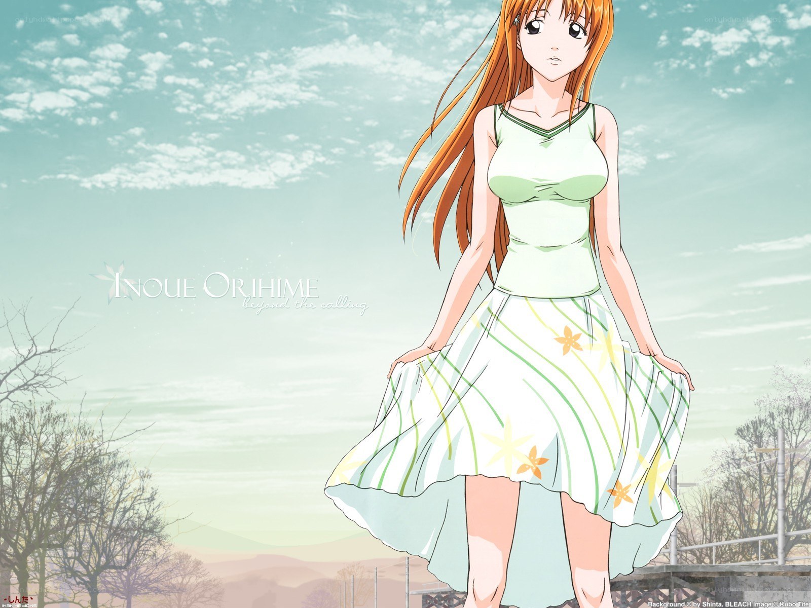 Inoue Orihime character art