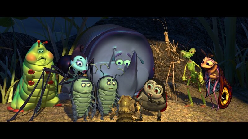 Insect Characters in a Group