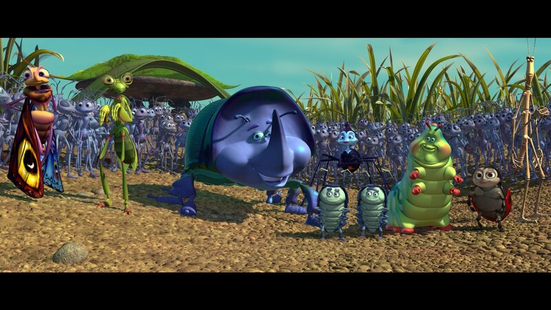 Insect Characters in Field