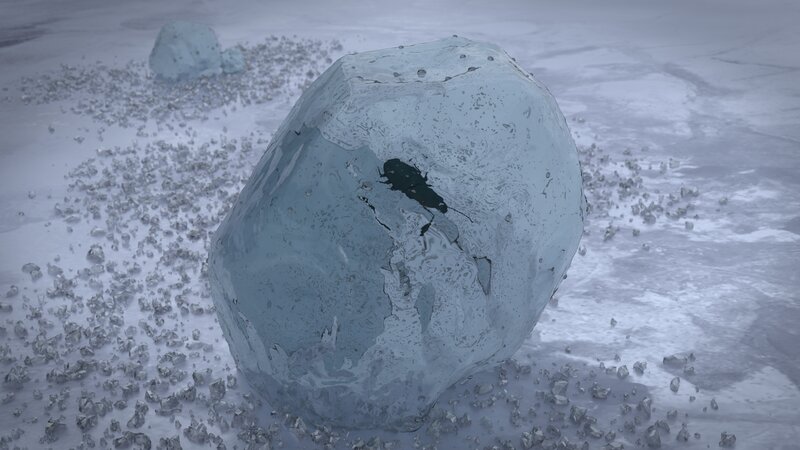 Insect in Ice Block