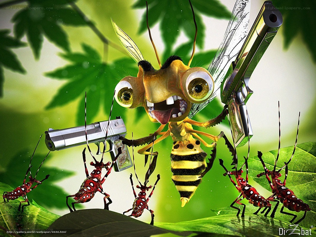 Insect with guns on leaf