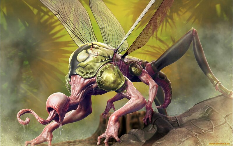 Insectoid Creature