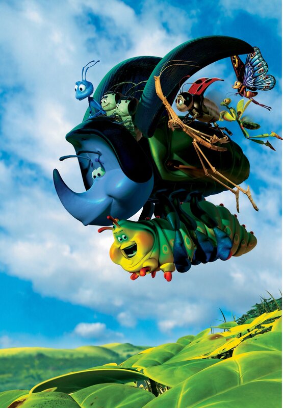 Insects Flying in Sky