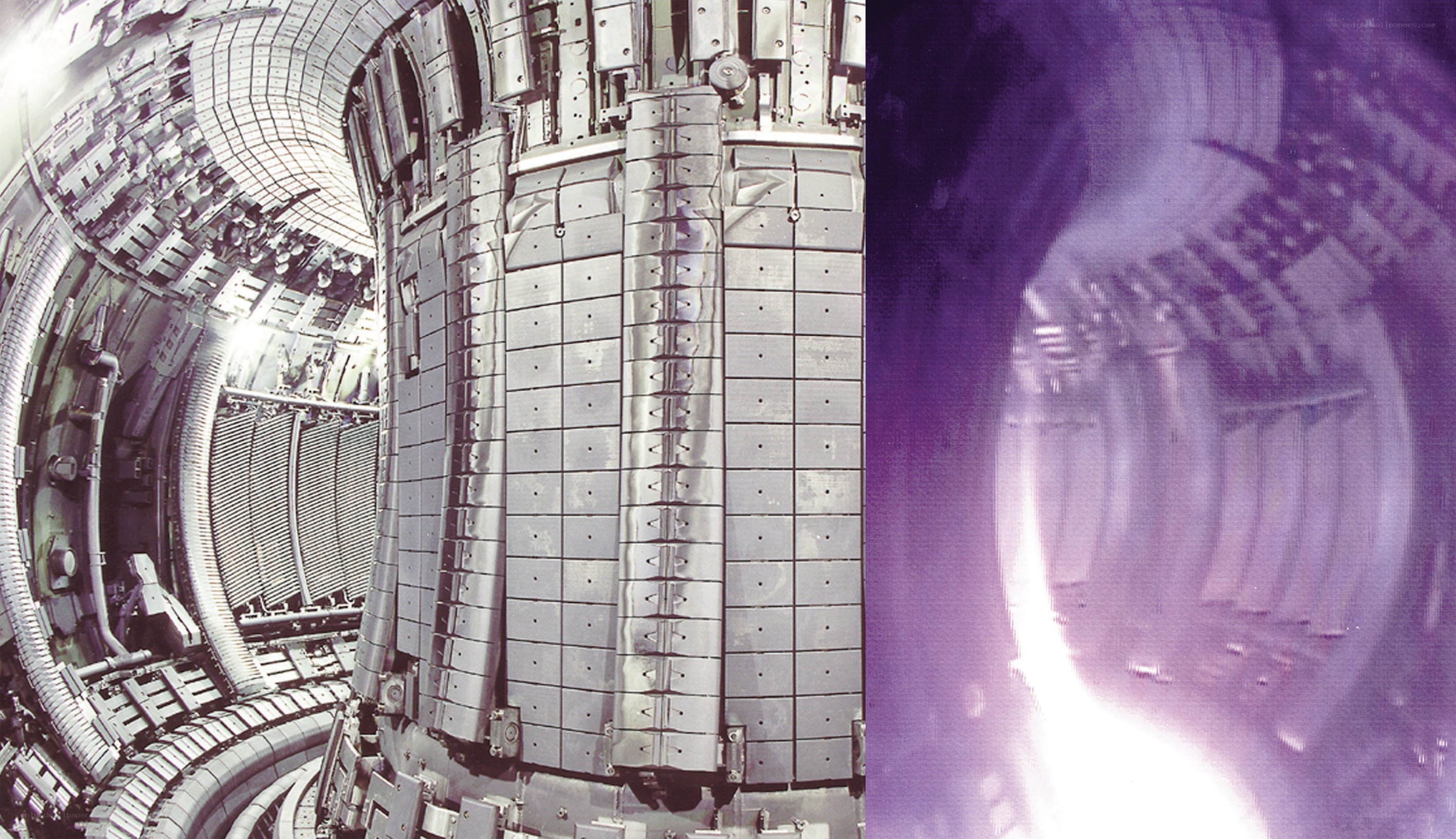 Inside a fusion reactor