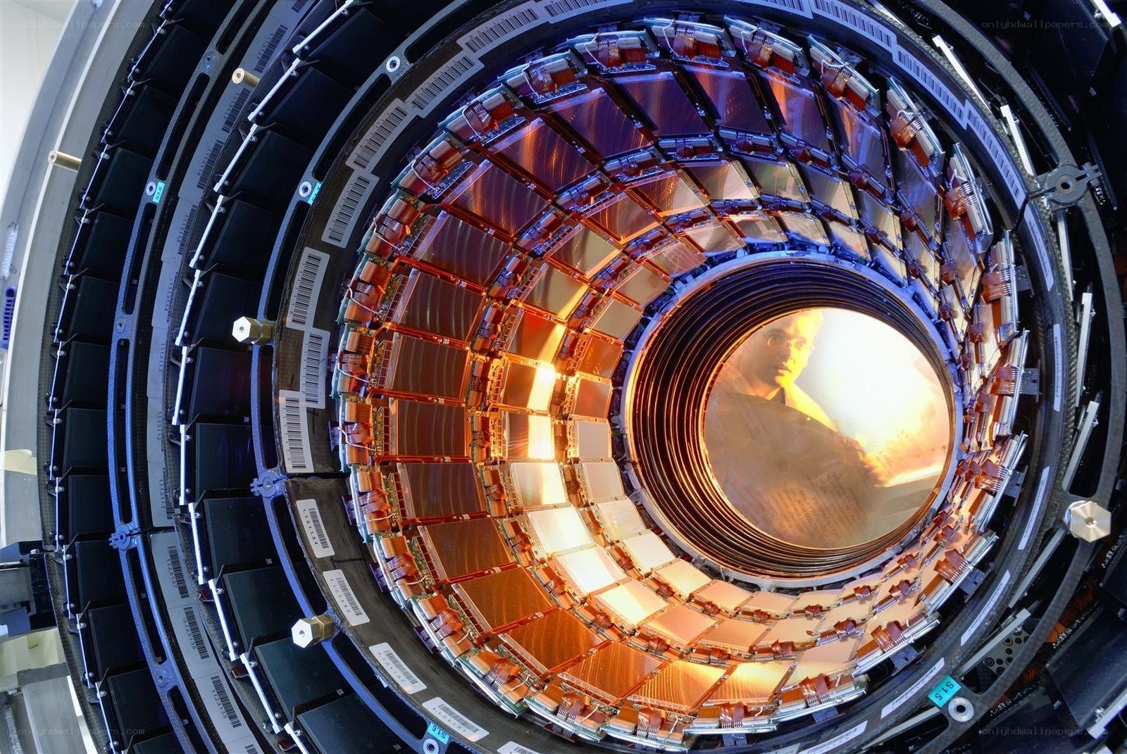 Inside a particle detector