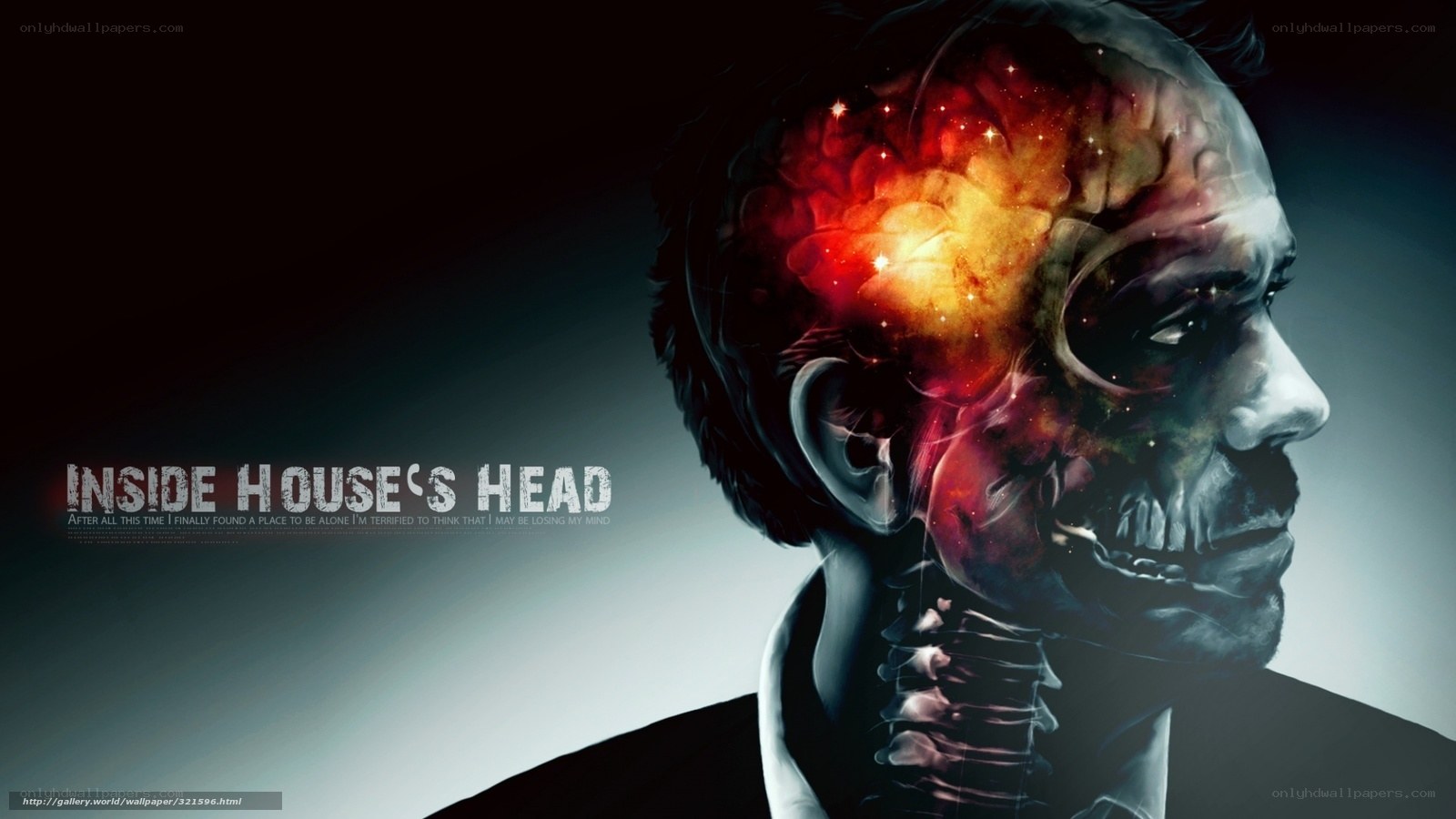 Inside House's Head