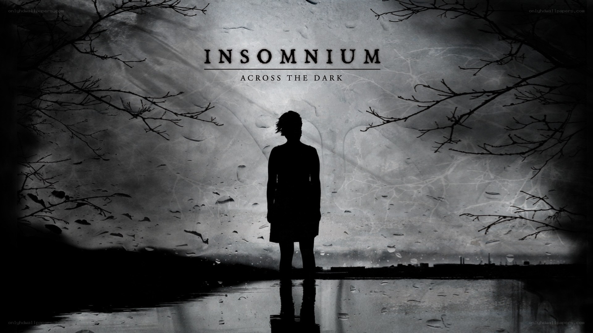 insomniac in the dark