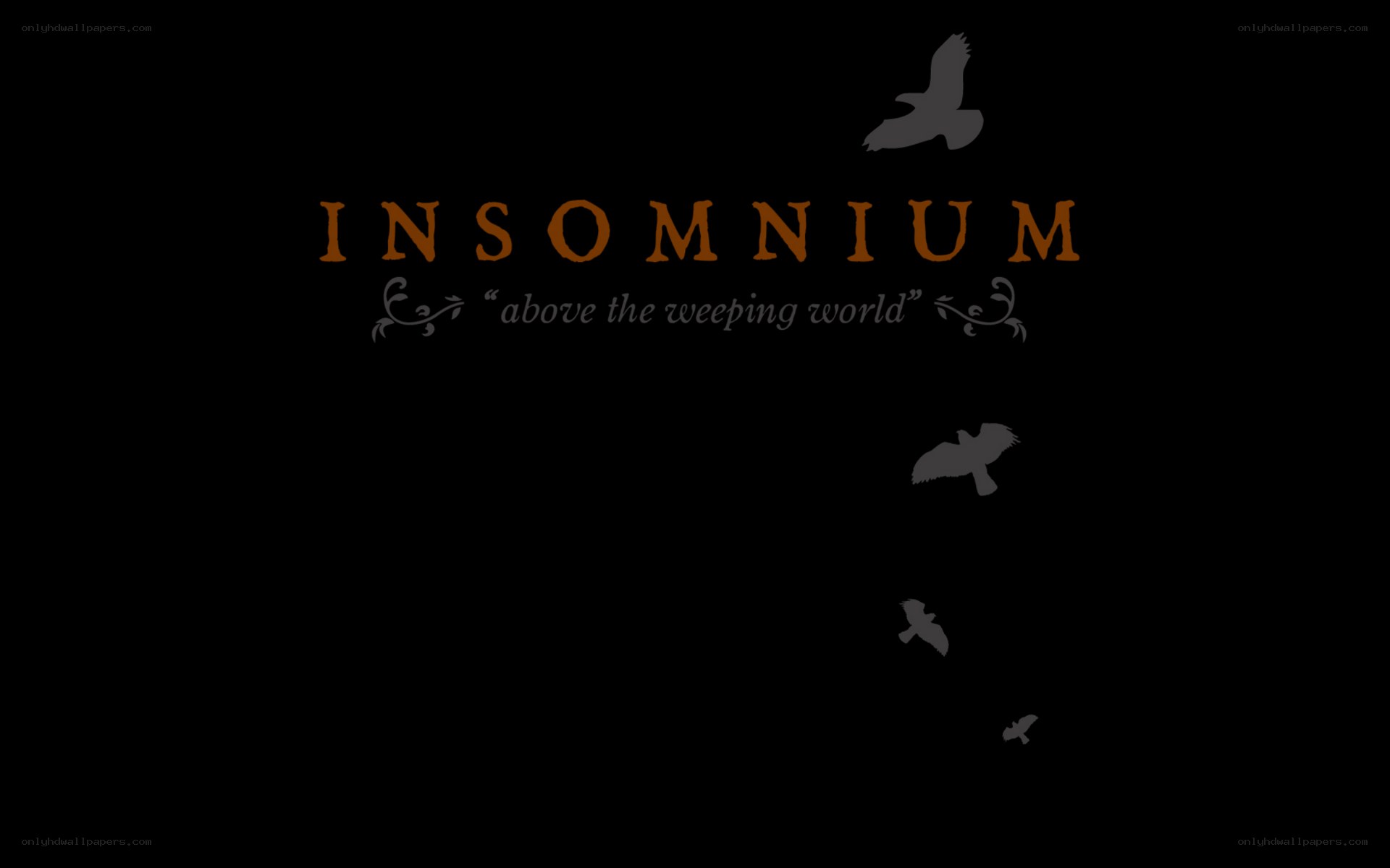Insomnium logo art