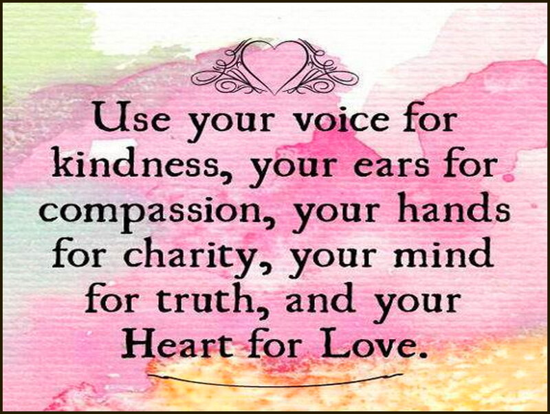 Inspirational Quote — Pink