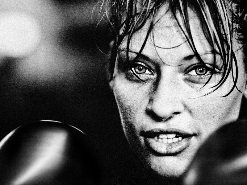 intense boxer portrait