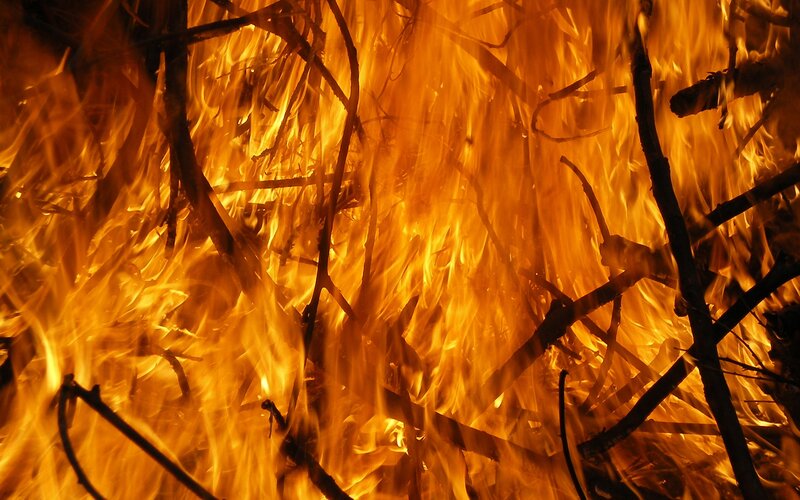 intense fire burning branches