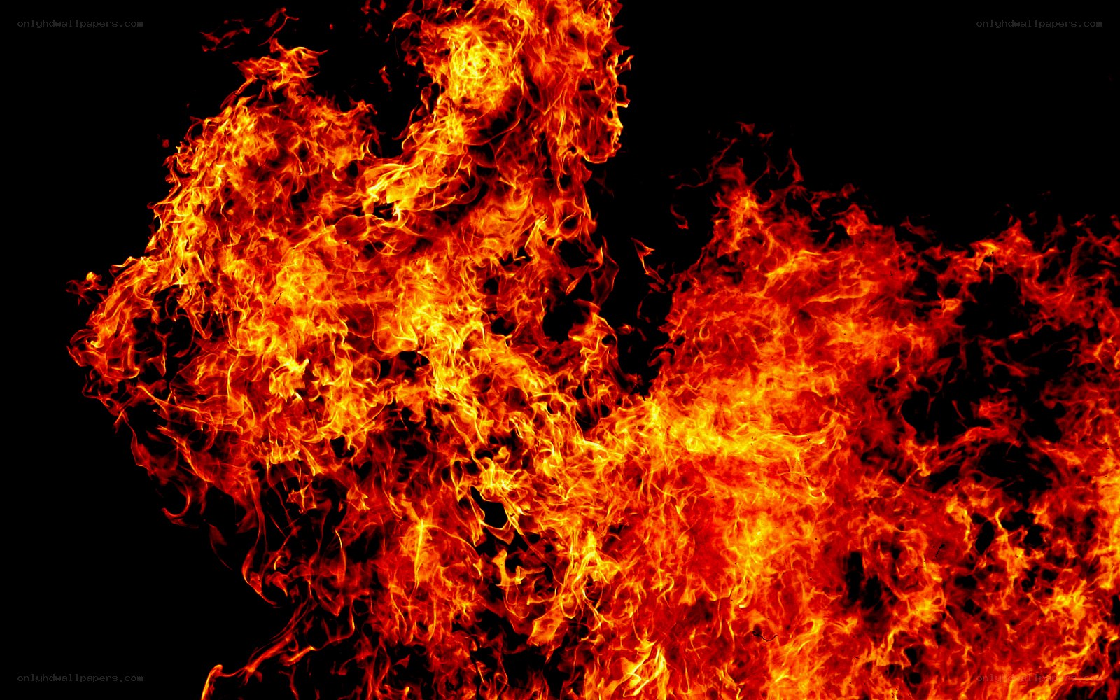 intense fire flames