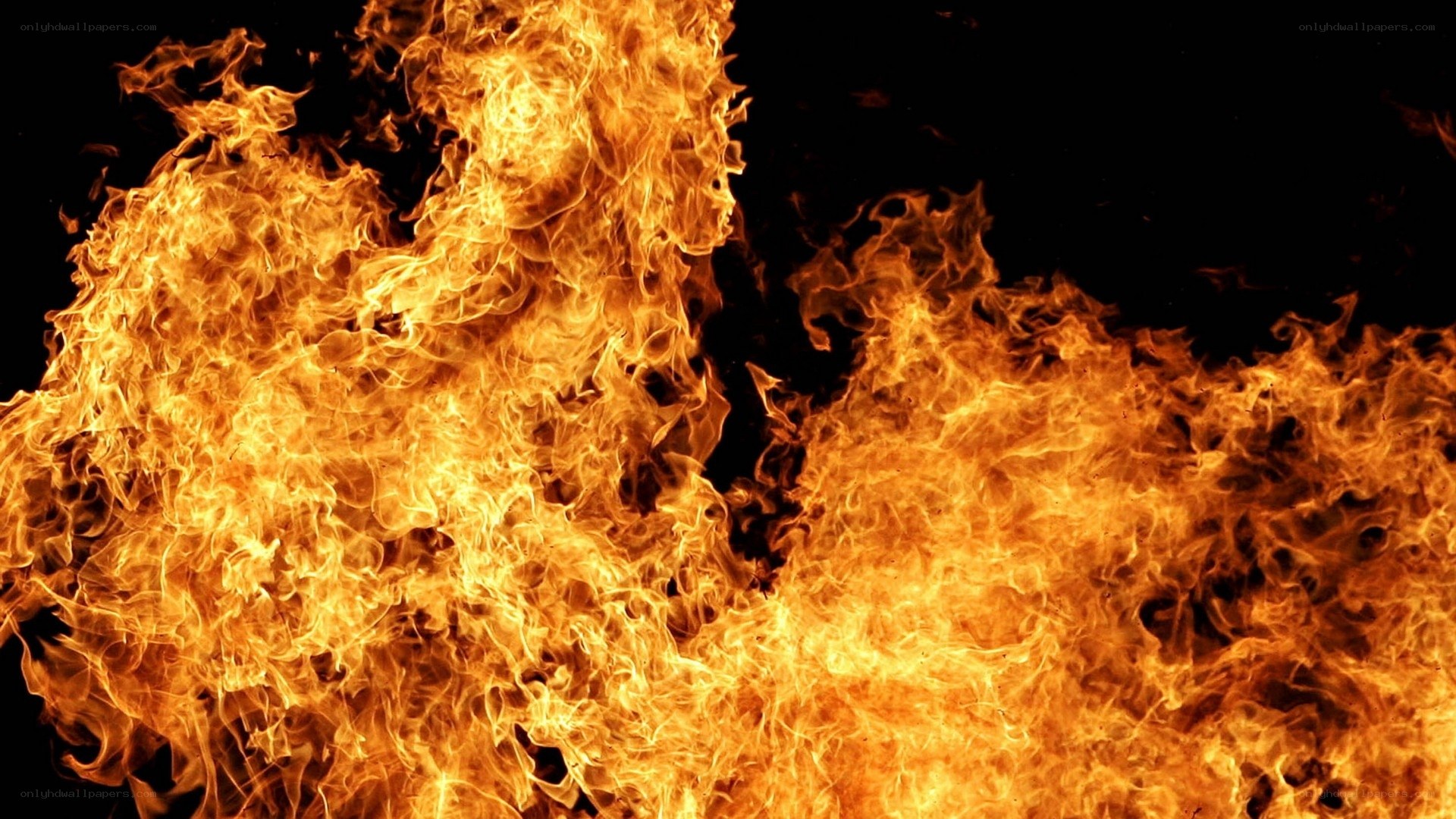 intense flames burning brightly