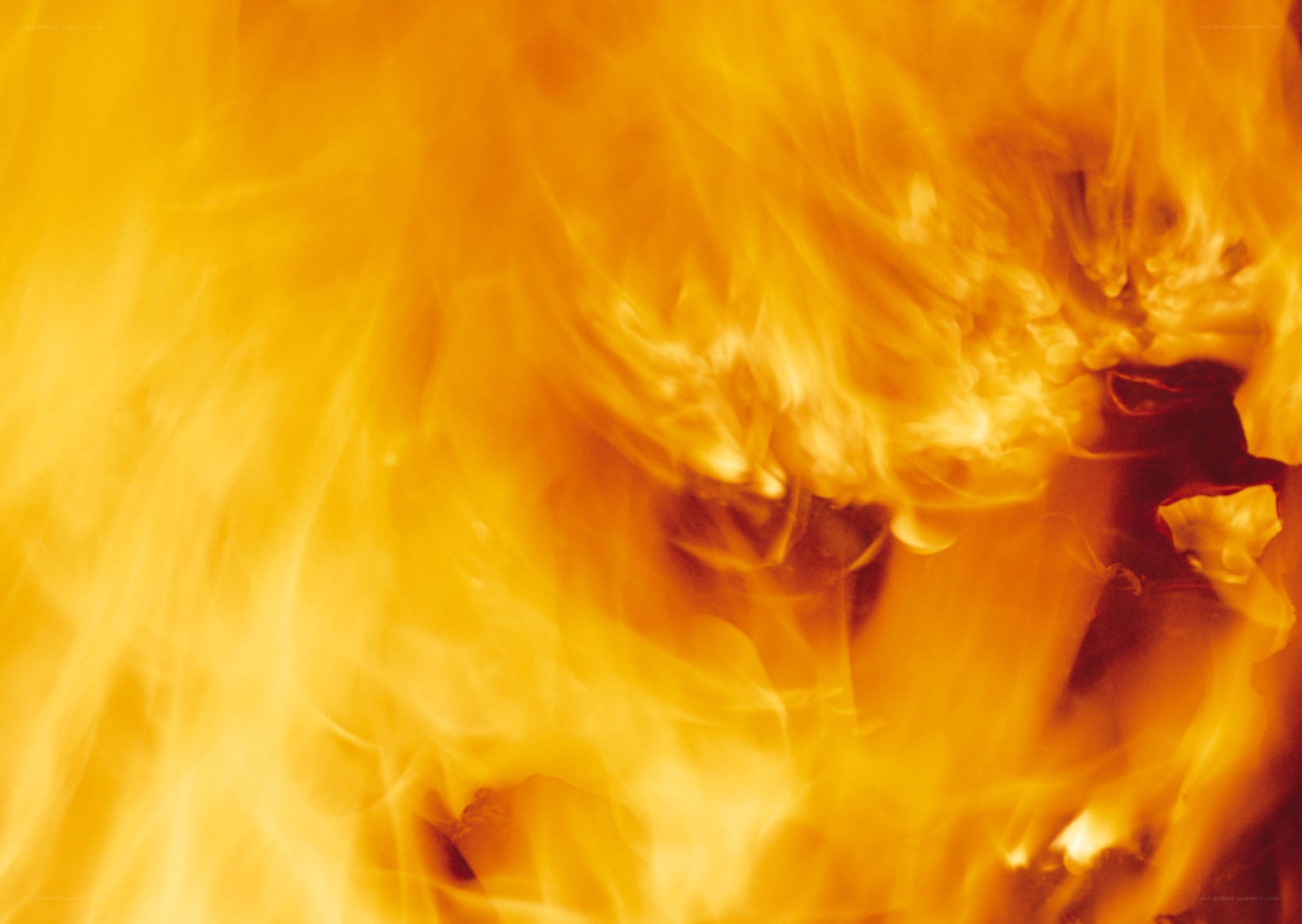intense flames in motion