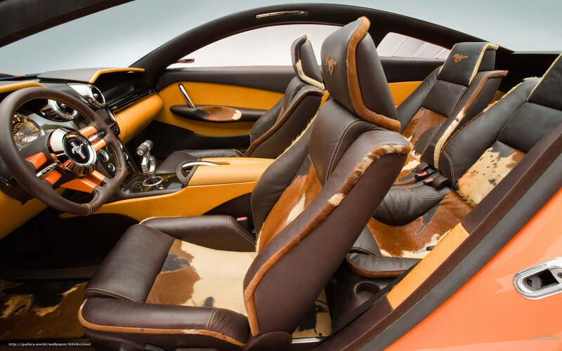 Interior of a Car — Brown, Luxurious
