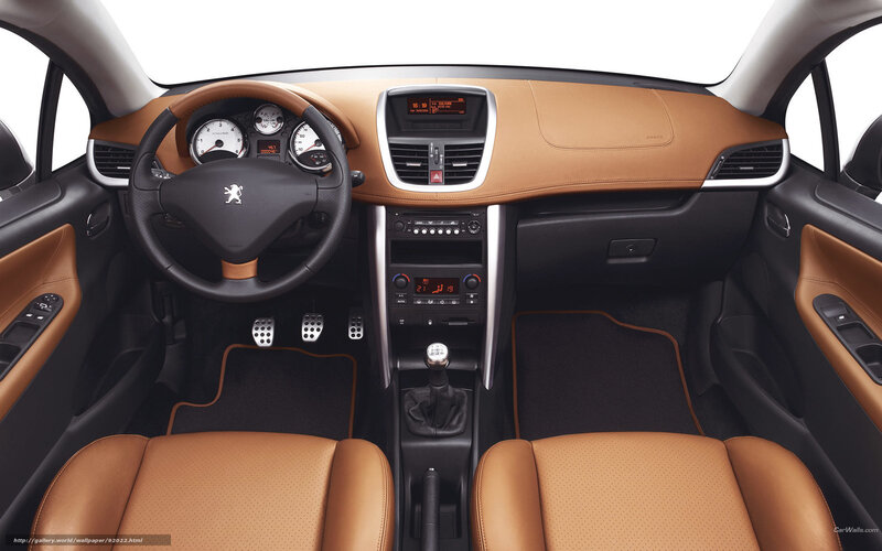 Interior of a Car — Brown, Neutral