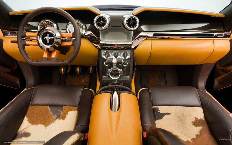 Interior of a Car — Brown