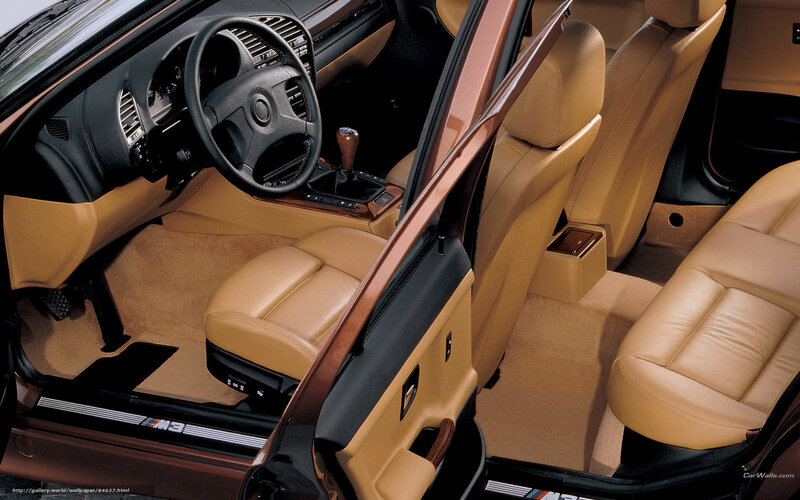 Interior of a Car — Tan
