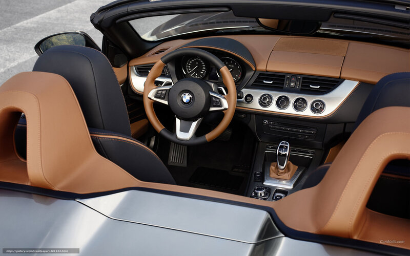 Interior of a Convertible Car — Brown
