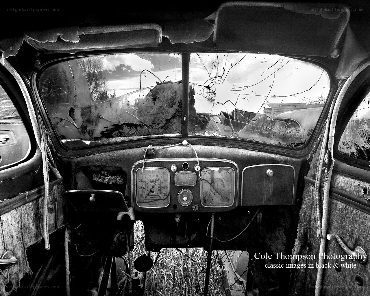 Interior of a derelict car