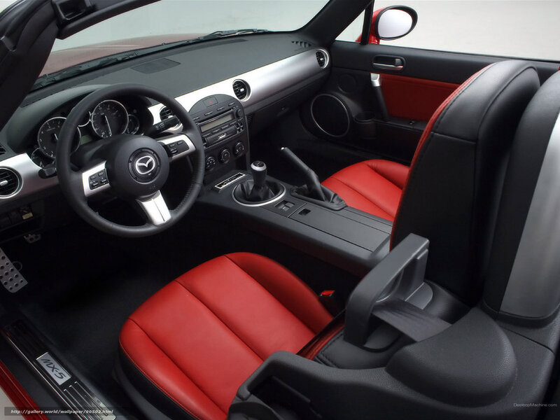 Interior of Red Car — Black, Neutral