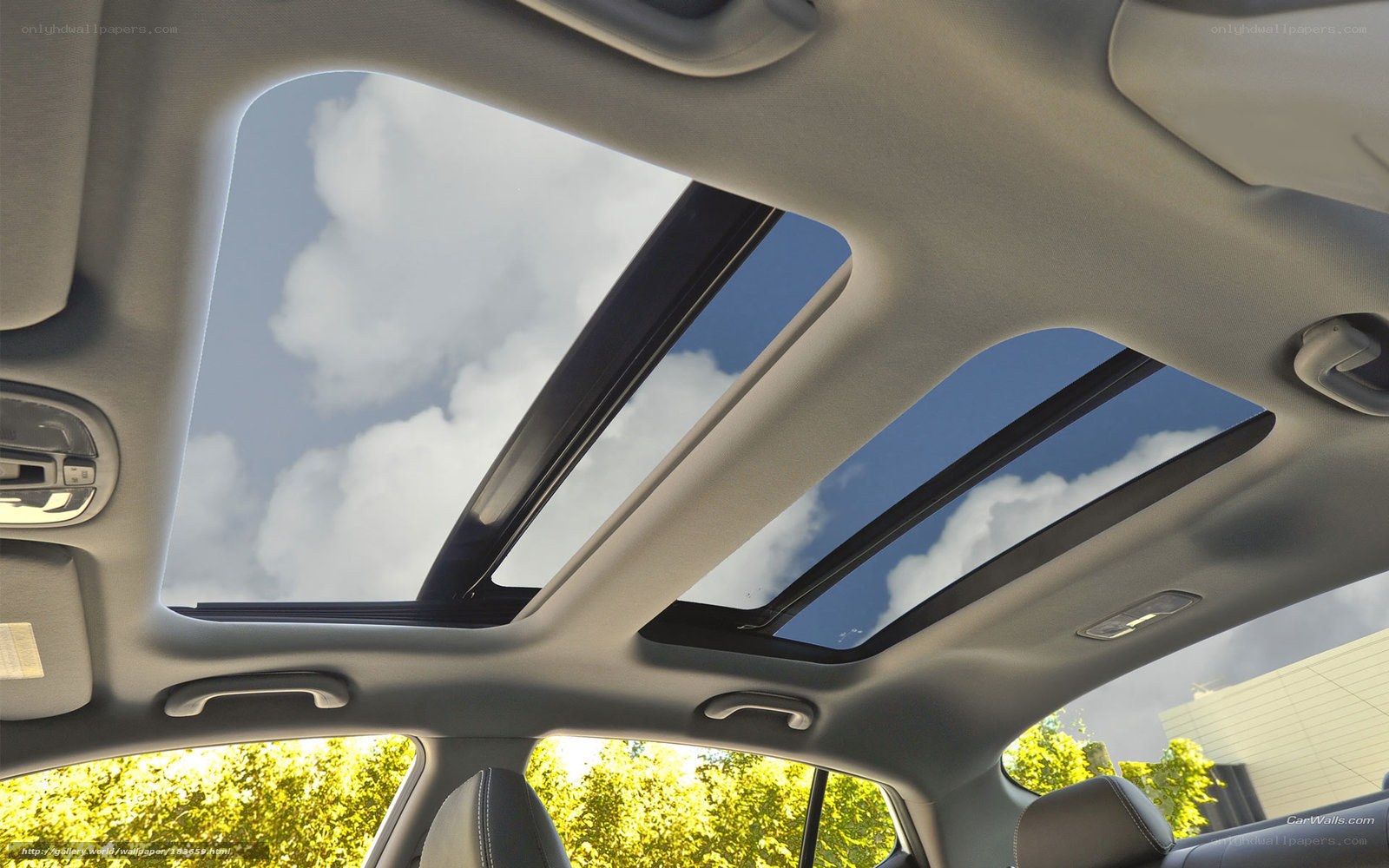 Interior view of car with sunroof