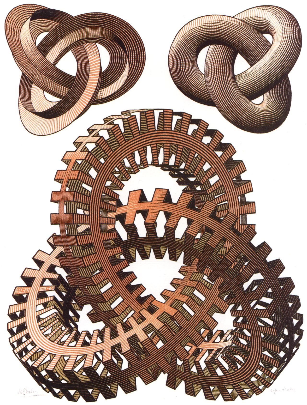 Interlocking Gears and Knots