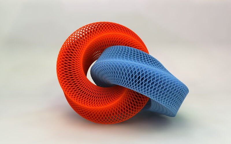 interlocking mesh torus shapes