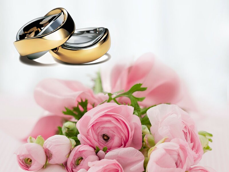 Interlocking Wedding Rings — Pink