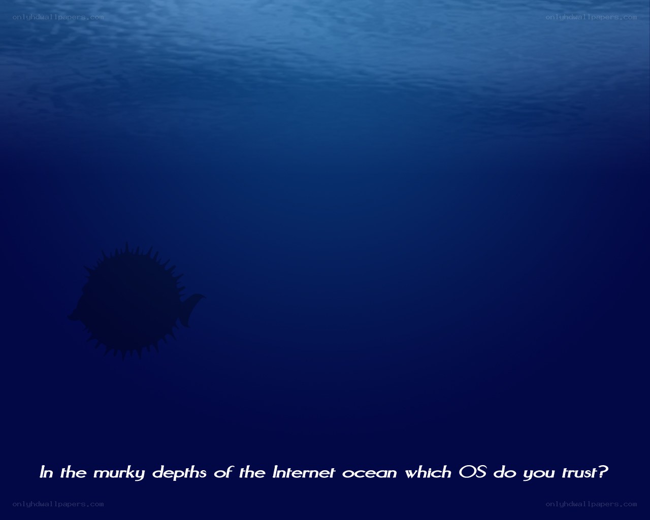 Internet ocean metaphor