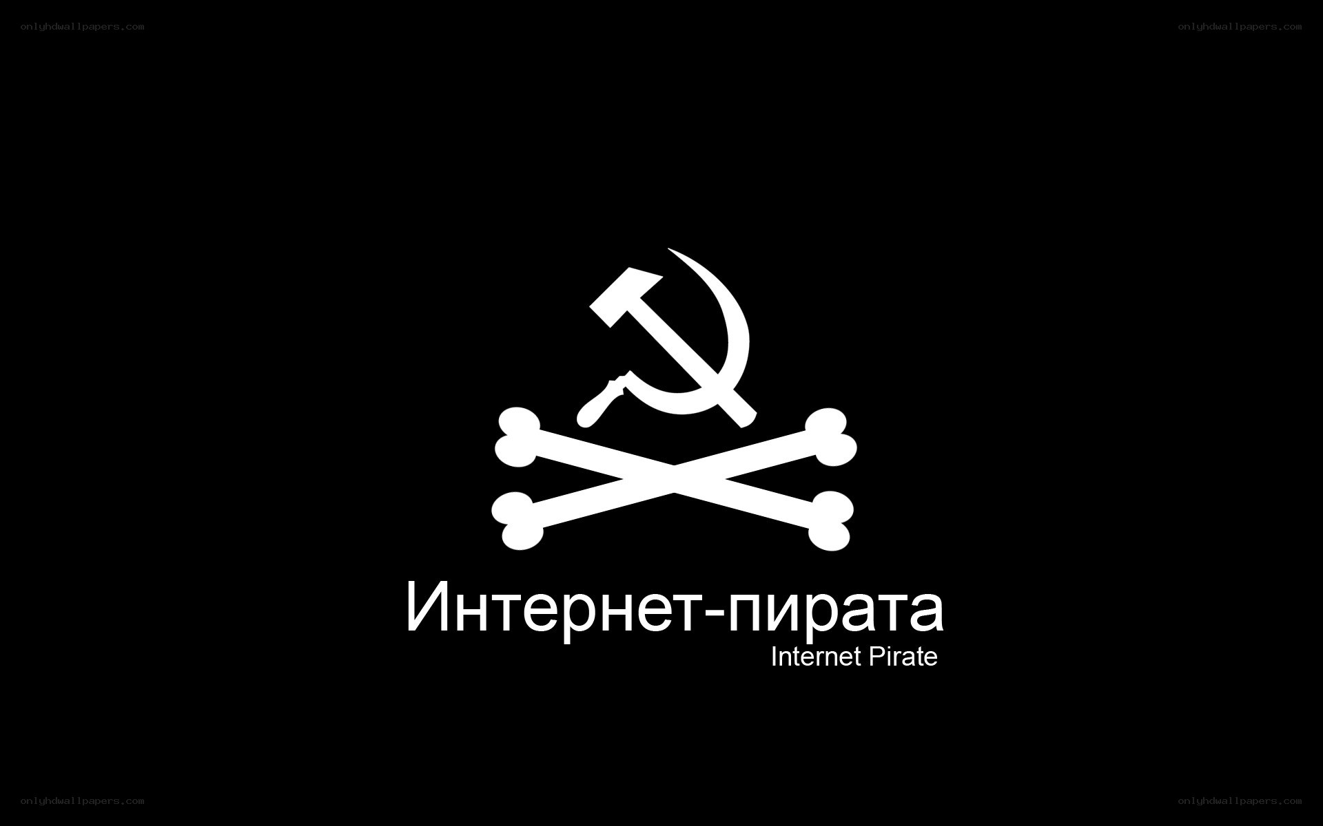Internet Pirate logo