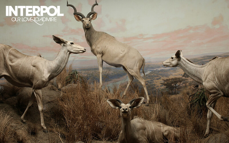 Interpol album cover art