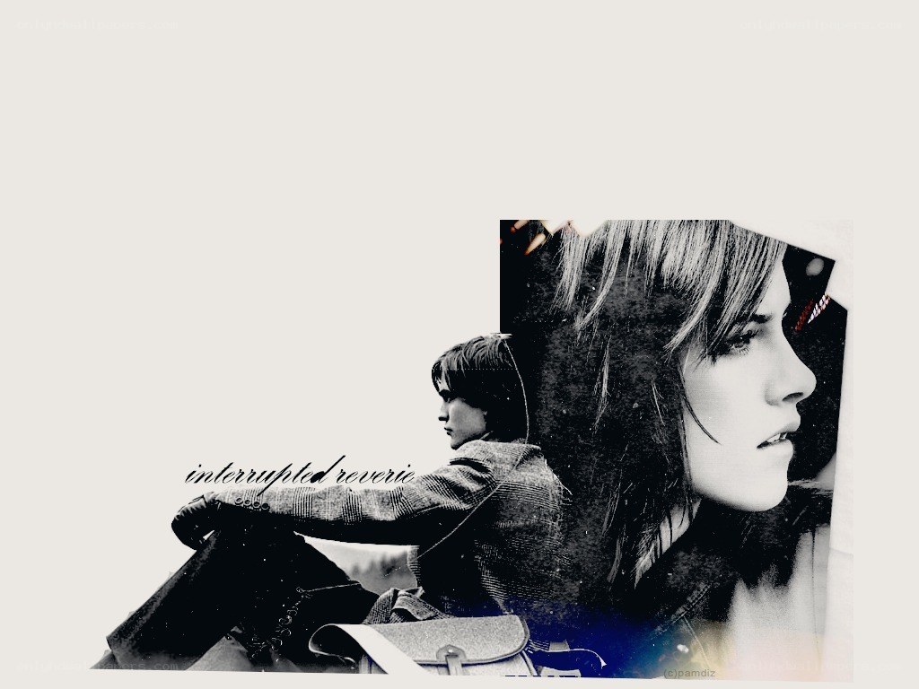 interrupted reverie collage