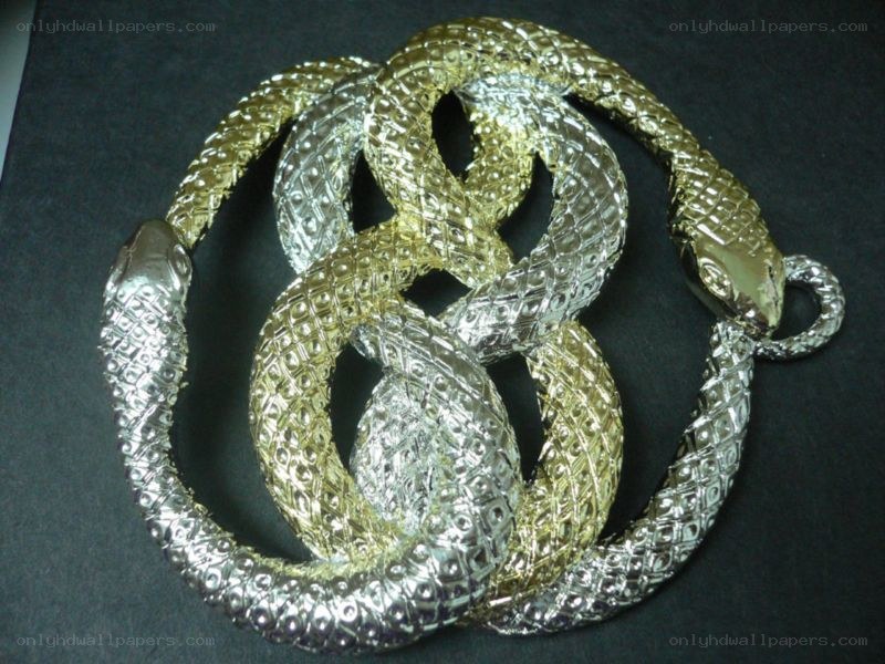 interwoven snake brooch