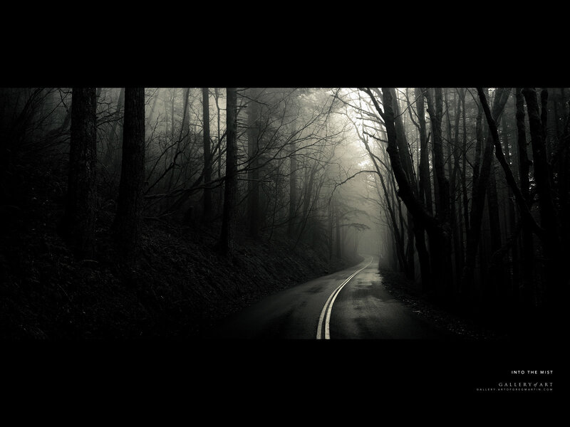 Into the Mist