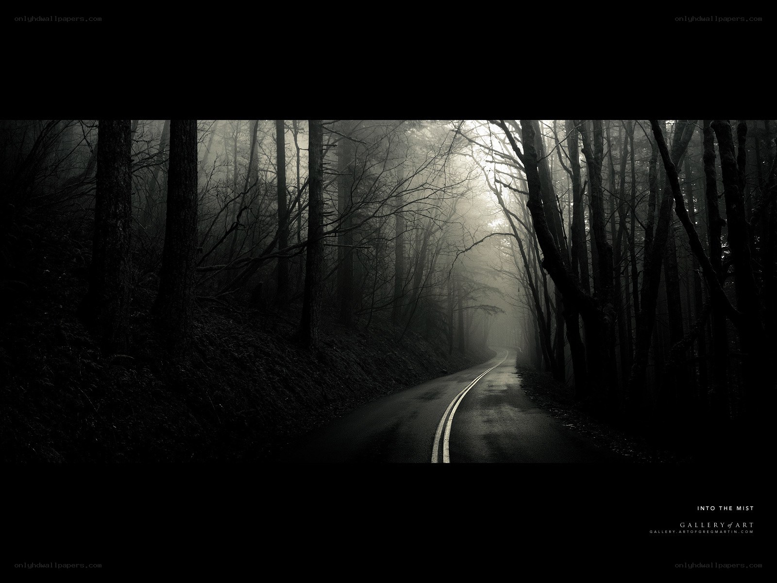 Into the Mist
