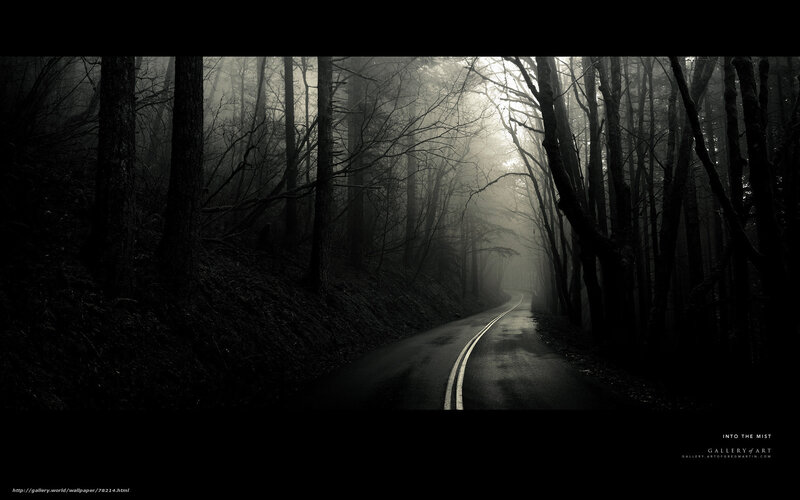 Into the Mist