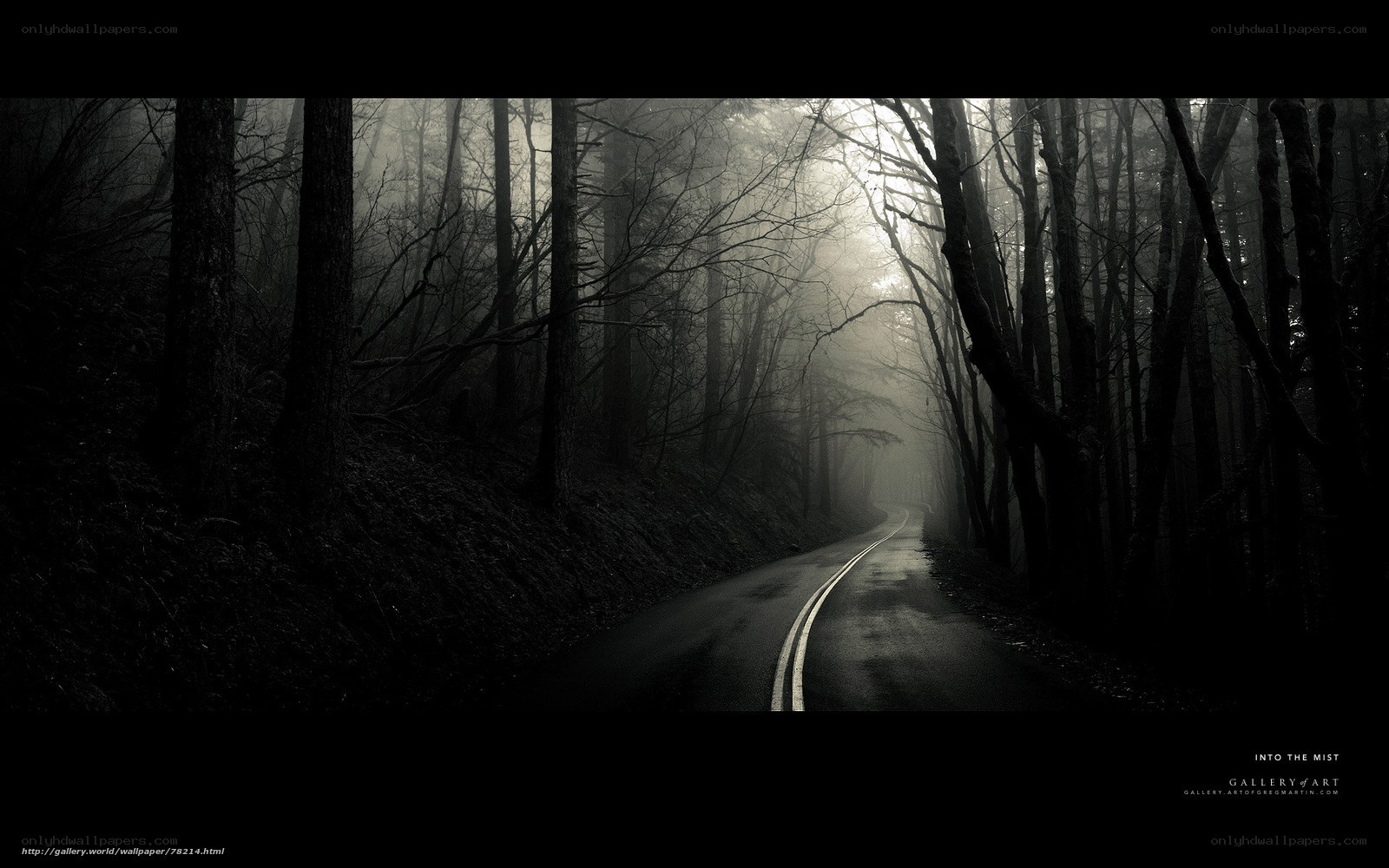 Into the Mist
