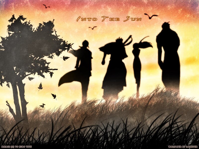 Into the Sun