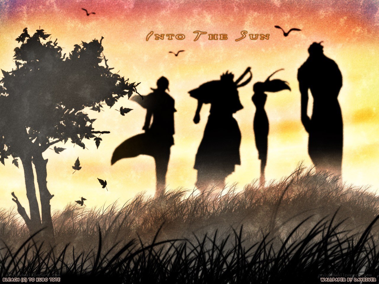 Into the Sun