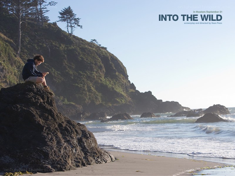 Into the Wild movie poster