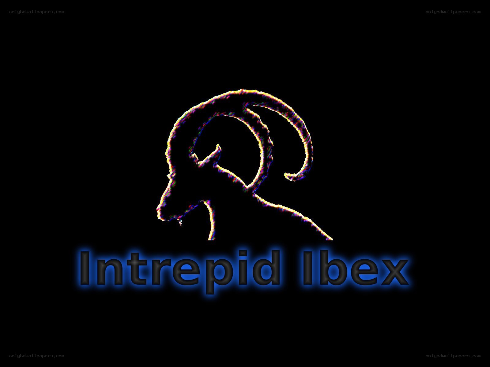 Intrepid Ibex logo